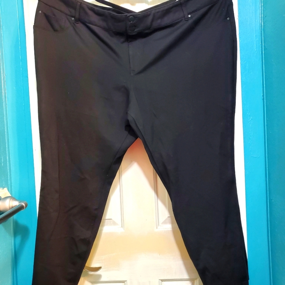Plus Size Avenue Pants Size 30